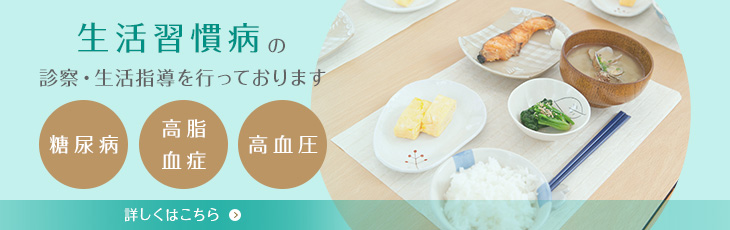 生活習慣病の診察・生活指導を行っております 糖尿病 高脂血症 高血圧 詳しくはこちら